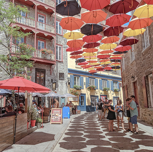 Dashboard on different devices