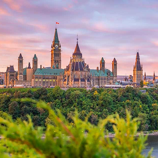 Dashboard on different devices