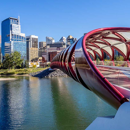 Dashboard on different devices