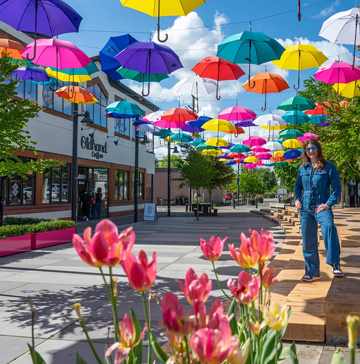 Dashboard on different devices