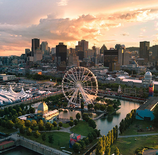 Dashboard on different devices