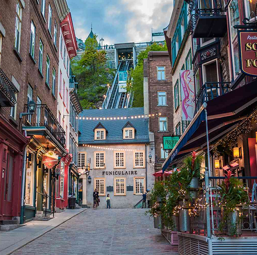 Dashboard on different devices