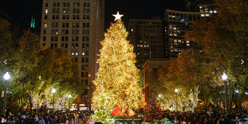 City of Chicago Christmas Tree