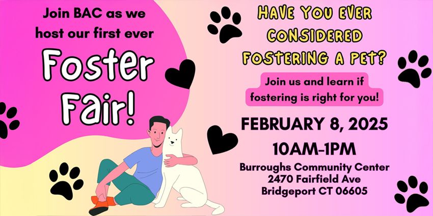 BAC's FOSTER FAIR: Learn if fostering a pet is right for you!