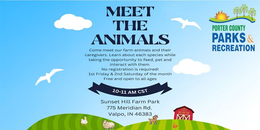 Meet the Animals - Sunset Hill Farm