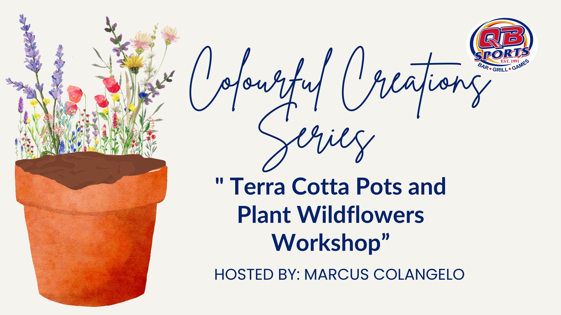 Colourful Creations Series Paint Terra Cotta Pot and Plant Wildflower Workshop