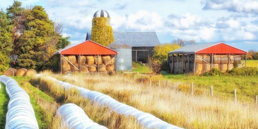The Farmer's Way