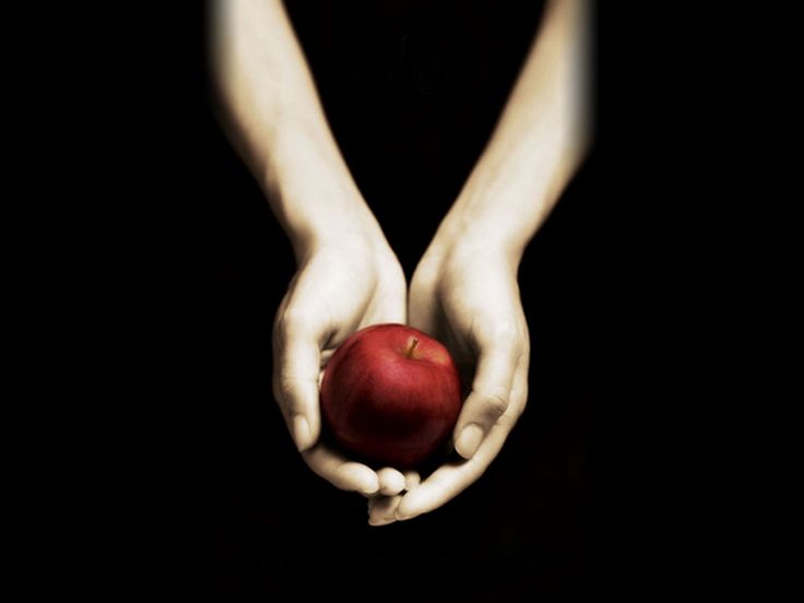 Twilight 20th Anniversary Party