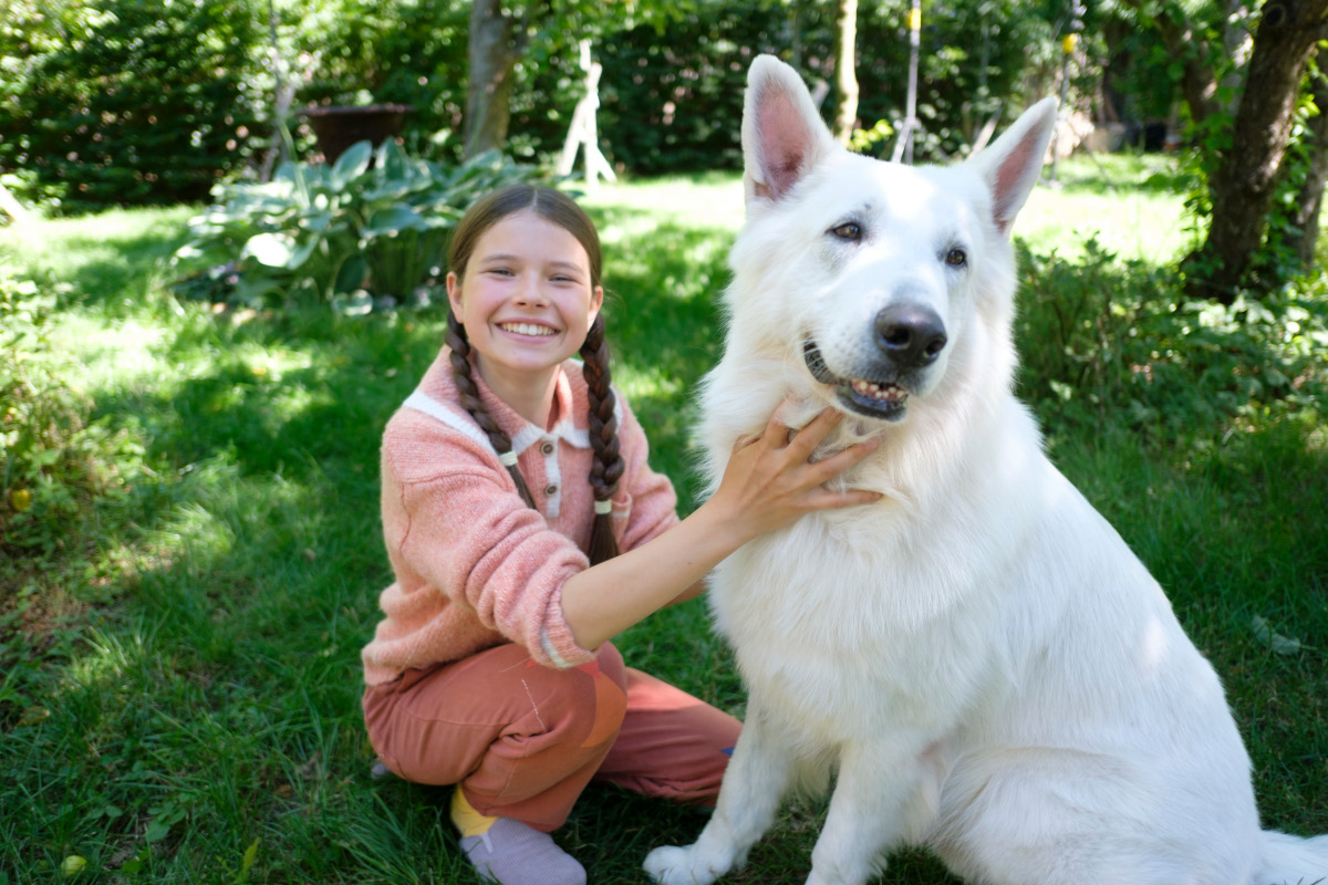  Lampo, the Travelling Dog / Short: Paper Love, Statues