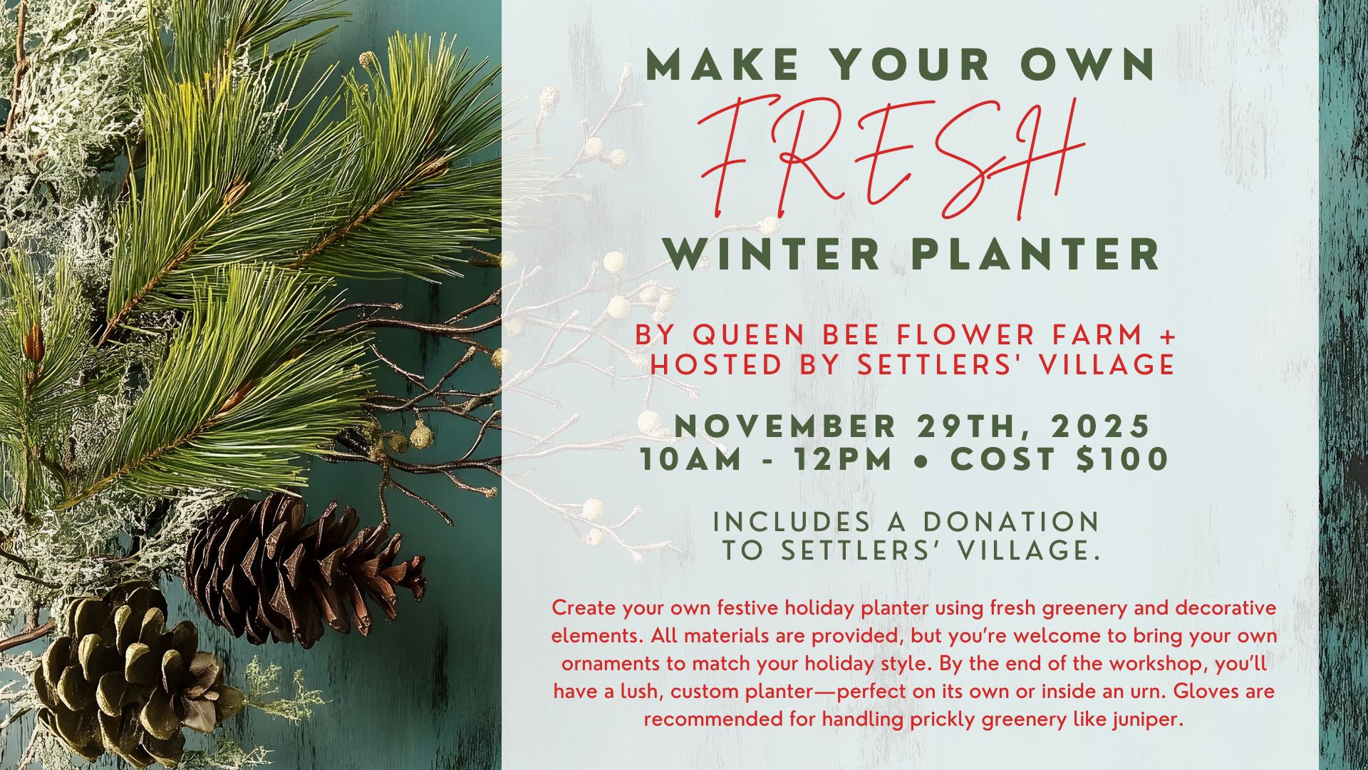 🌿 Make Your Own Fresh Winter Planter Workshop