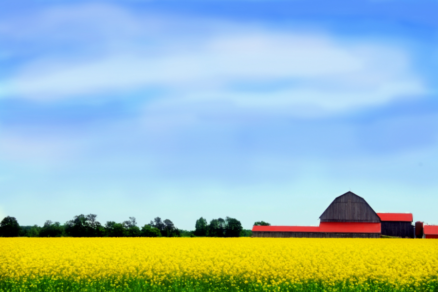 Clearview Farm Crawl
