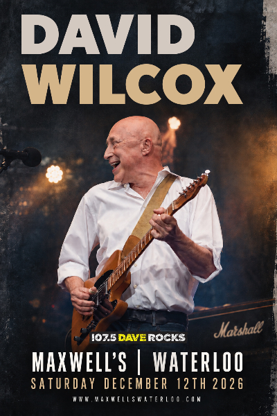 David Wilcox