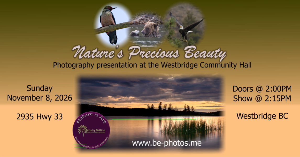 Nature's Precious Beauty